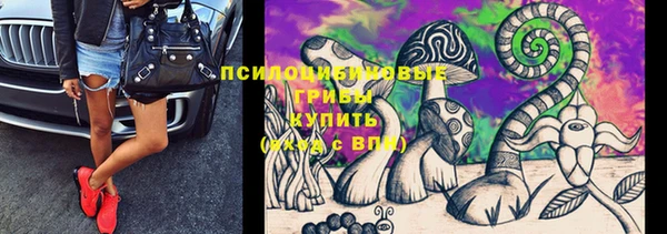 хмурый Алексеевка