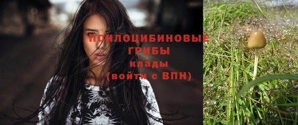 метадон Няндома