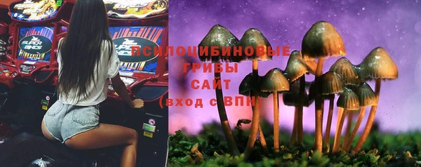 бошки Алзамай