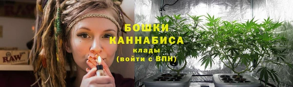 бошки Алзамай